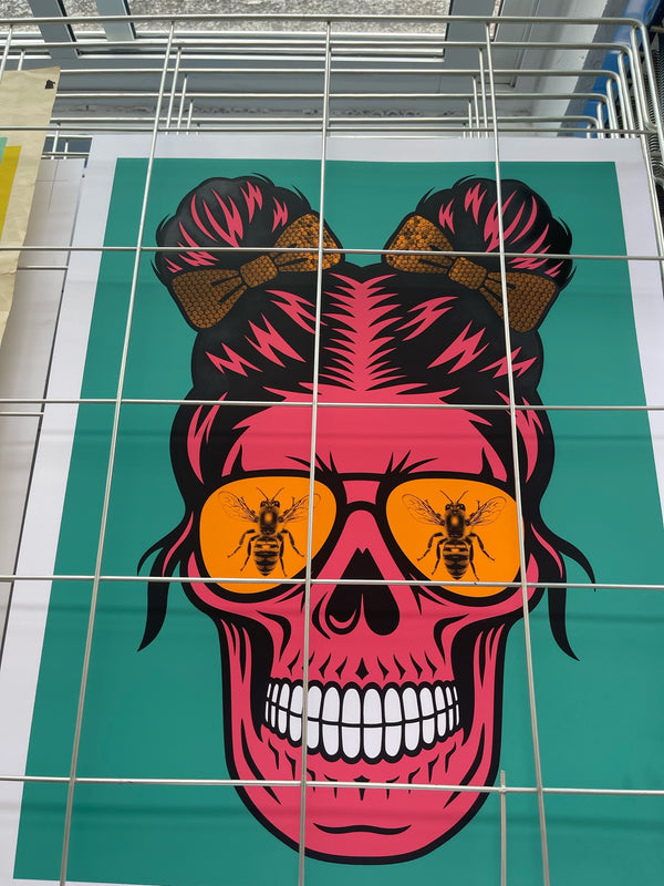 CCD (colony collapse disorder)