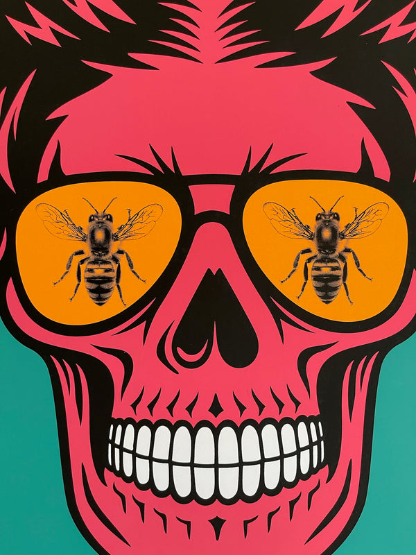 CCD (colony collapse disorder)